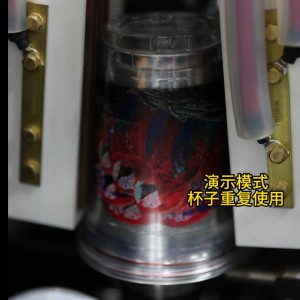 6 月11 日