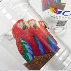 8-colcrs-pet-cup-printing
