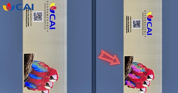 ALT="CAI-self-developed-online-vision-inspection-system"
