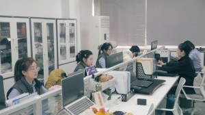 CAI-service