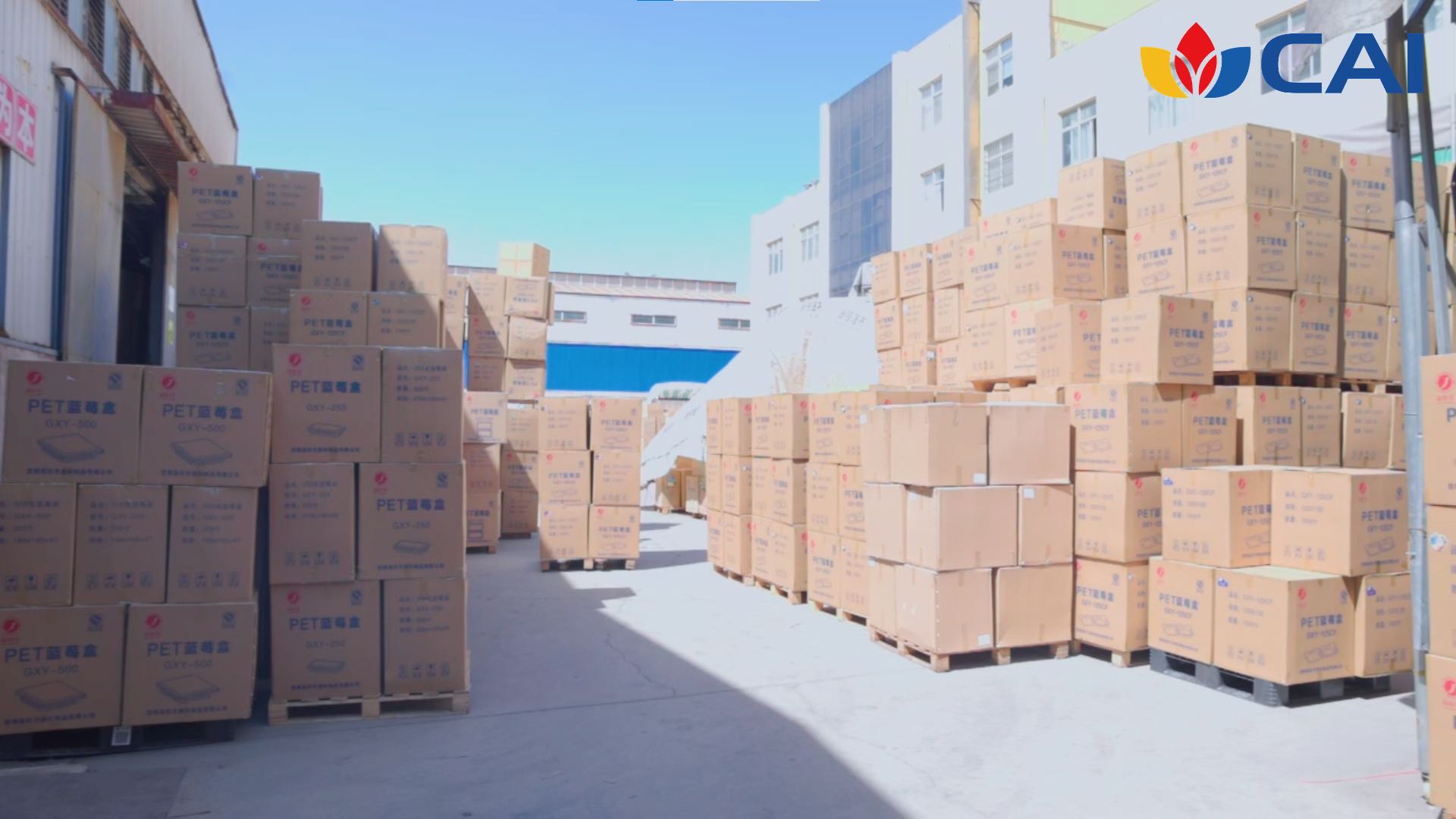 Label-Free and Eco-Friendly Solutions