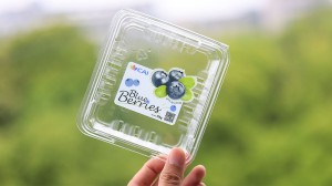 ALT="direct-printing-technology-on-lids"