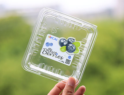 ALT="direct-printing-technology-on-lids"