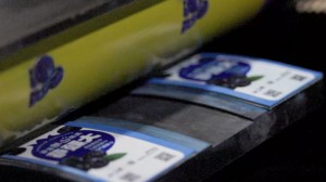 printing-on-Clamshell-Lid